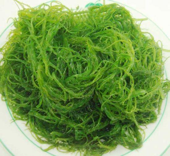 海菜种类大全集，世界上最好吃的蔬菜有哪些（盘点世界上吃的最多的10种海洋蔬菜）