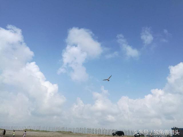 唐山菩提岛旅游攻略，唐山菩提岛旅游攻略及消费（唐山金沙岛浅水湾+菩提岛周末两日游攻略-独角兽猎头）