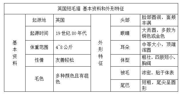 美国硬毛猫，养猫百科-带你认识猫的品种（美国硬毛猫和橘猫的区别）