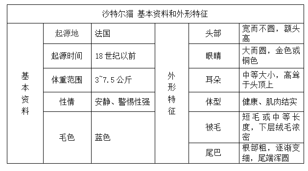 美国硬毛猫，养猫百科-带你认识猫的品种（美国硬毛猫和橘猫的区别）