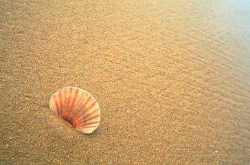 beside是什么意思英语，beside是什么意思（beside译为“在旁边”怎么用）