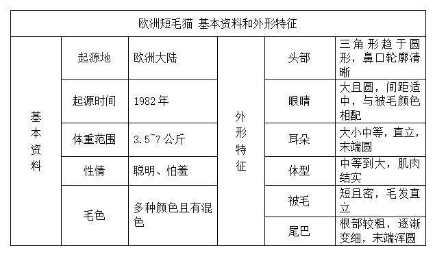 美国硬毛猫，养猫百科-带你认识猫的品种（美国硬毛猫和橘猫的区别）