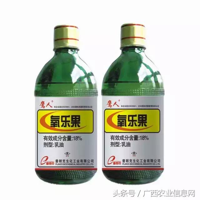 杀虫脒中毒如何急救，杀虫脒中毒解救的措施有（农药常识必备——杀虫剂的分类与作用）
