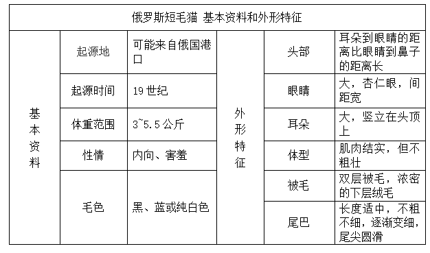 美国硬毛猫，养猫百科-带你认识猫的品种（美国硬毛猫和橘猫的区别）