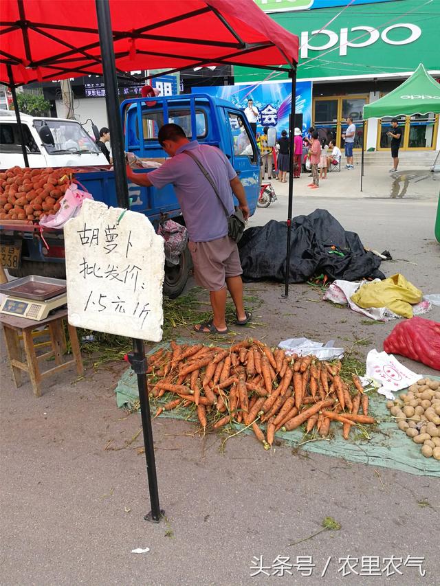 西红花多少钱一克，藏红花多少钱一克（30元一克的藏红花）