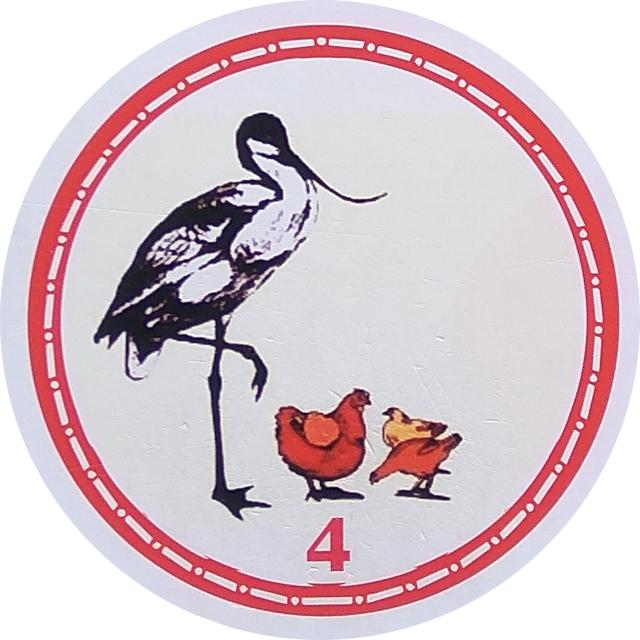 关于鸡的成语，与鸡有关的成语（关于鸡的看图猜成语）