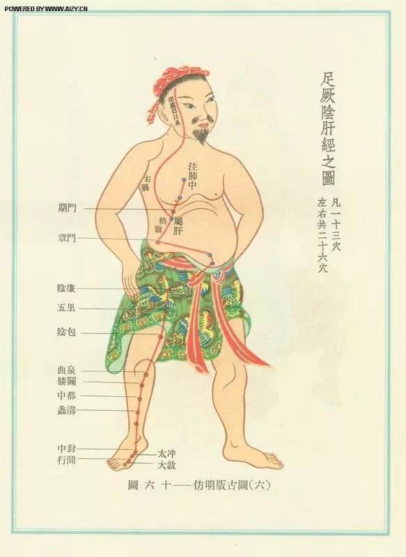 脚背经络图解大图，脚背的部位高清图解（按摩艾灸、拔罐刮痧都用得到）