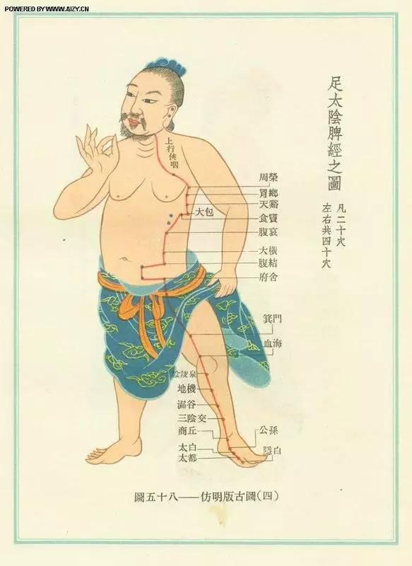 脚背经络图解大图，脚背的部位高清图解（按摩艾灸、拔罐刮痧都用得到）