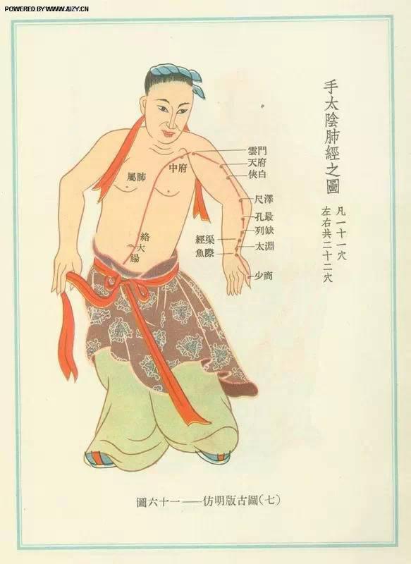 脚背经络图解大图，脚背的部位高清图解（按摩艾灸、拔罐刮痧都用得到）