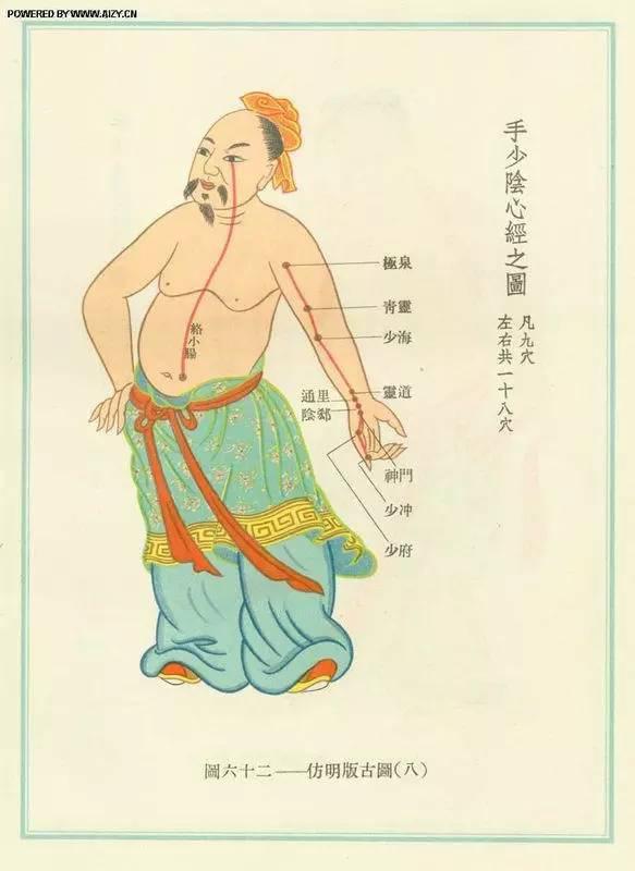 脚背经络图解大图，脚背的部位高清图解（按摩艾灸、拔罐刮痧都用得到）