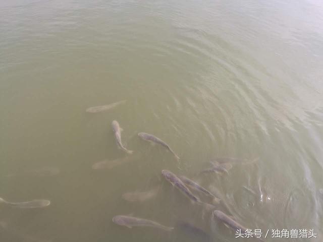 唐山菩提岛旅游攻略，唐山菩提岛旅游攻略及消费（唐山金沙岛浅水湾+菩提岛周末两日游攻略-独角兽猎头）