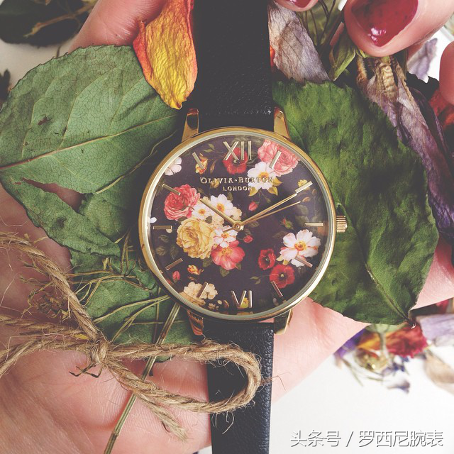 dw表是什么档次，dw哪个档次（千元预算清新腕表）