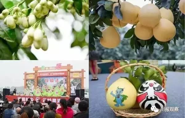 罗江县属于哪个市，四川省德阳市罗江县有几个镇（这个新区的故事有点多）