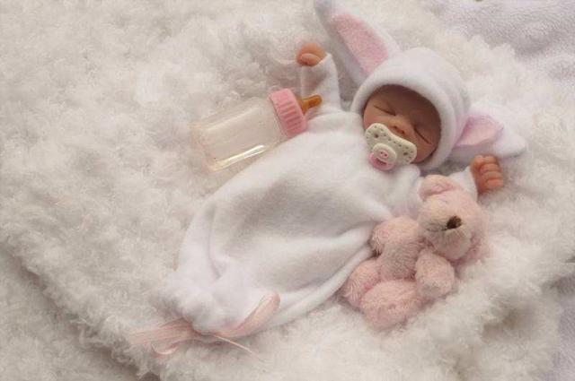 这是个超级超级小的bid娃娃,跟手掌的份