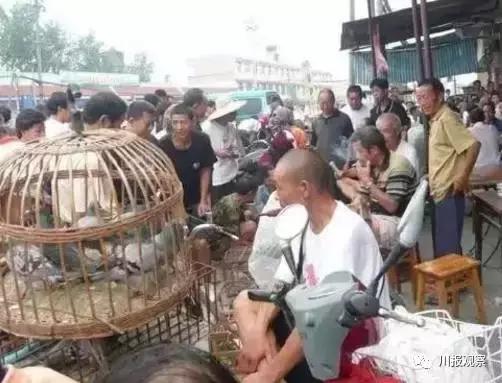 罗江县属于哪个市，四川省德阳市罗江县有几个镇（这个新区的故事有点多）