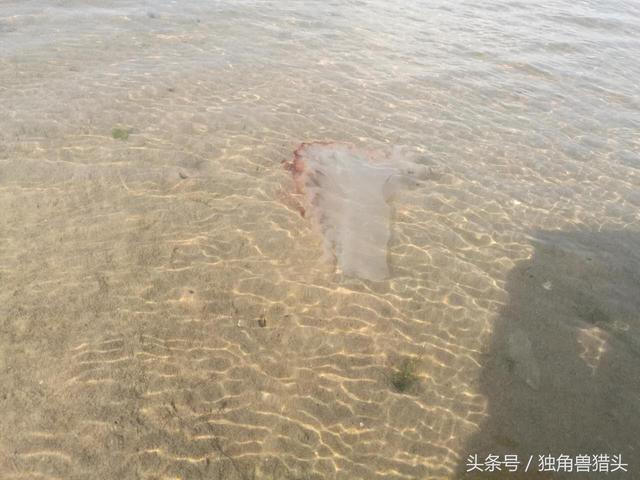 唐山菩提岛旅游攻略，唐山菩提岛旅游攻略及消费（唐山金沙岛浅水湾+菩提岛周末两日游攻略-独角兽猎头）