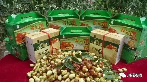 罗江县属于哪个市，四川省德阳市罗江县有几个镇（这个新区的故事有点多）