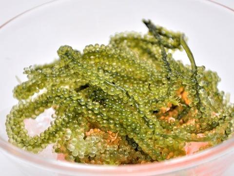 海菜种类大全集，世界上最好吃的蔬菜有哪些（盘点世界上吃的最多的10种海洋蔬菜）