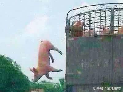 人离不开风水之谜，不为人知的风水绝密（不为人知的风水之谜<第三章）