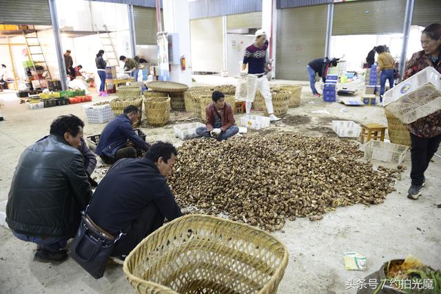 德钦县景点，迪庆德钦县十大旅游景点（深入香格里拉）