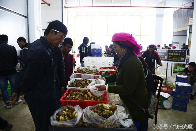 德钦县景点，迪庆德钦县十大旅游景点（深入香格里拉）