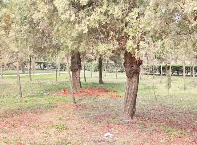 程颢和程颐是什么关系，程颐,程颢是哪里人（兄弟二人被合称为“二程”）