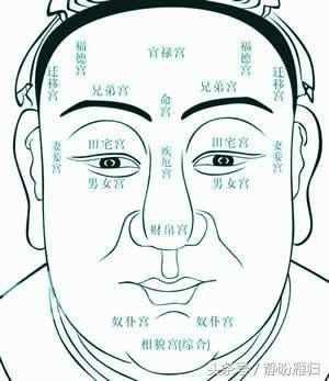 面部痣所对应身体各部位的痣，面部部位的痣所代表的含义