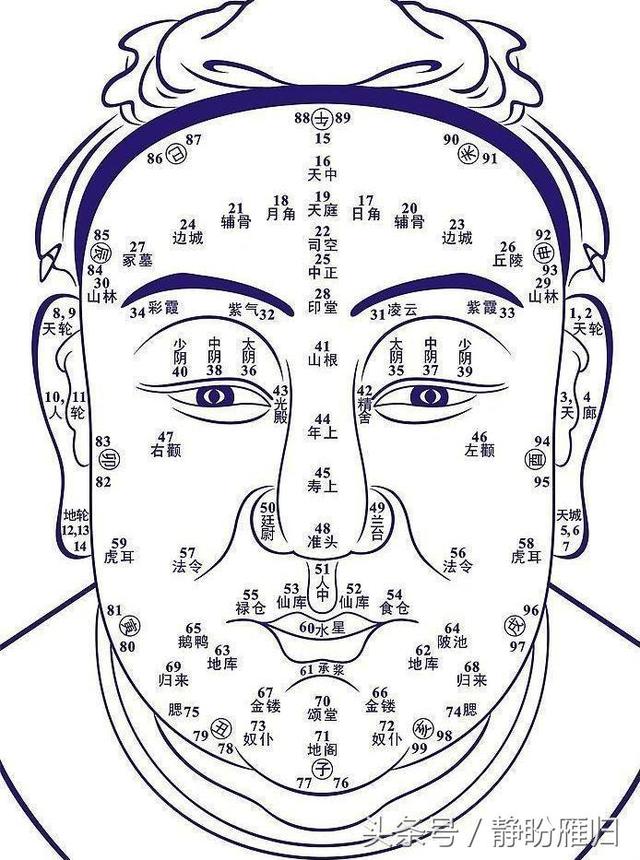 面部痣所对应身体各部位的痣，面部部位的痣所代表的含义