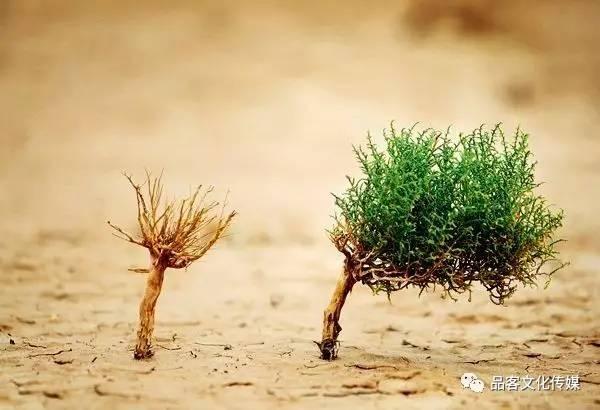 也许匆匆忙忙慌慌张张是什么歌，也许匆匆忙忙慌慌张张是什么歌歌词是什么意思（倾听好歌：郝云-活着）