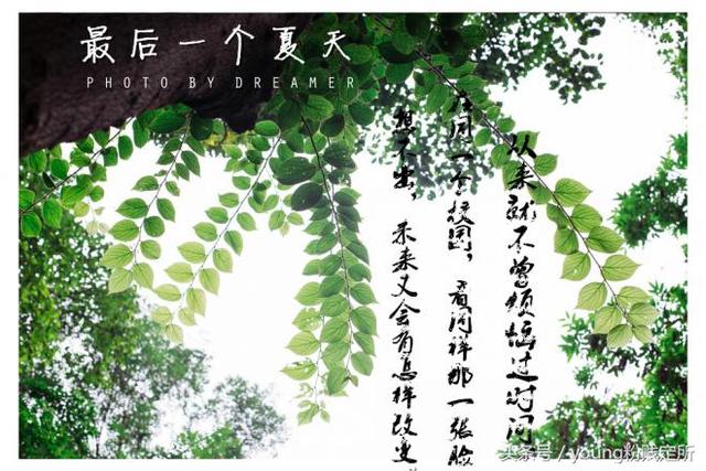 开学礼歌词是什么，开学礼歌词（开学在即，你准备好了吗）