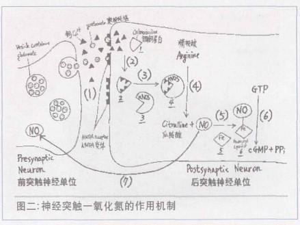 惰性气体有哪些，惰性气体有哪些上市公司（它们就在每天呼吸的空气中）