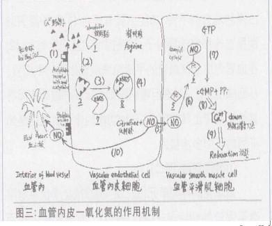 惰性气体有哪些，惰性气体有哪些上市公司（它们就在每天呼吸的空气中）