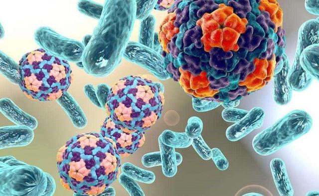 蜱虫病（蜱虫病毒），“蜱虫病”导致妇女死亡（什么叫蜱虫病）