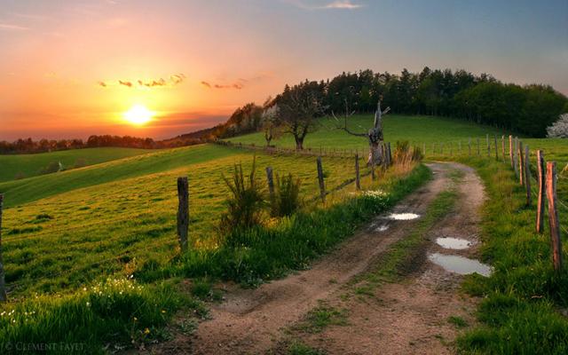 如果爱情的路还可以再铺是什么歌，歌词'如果爱情的路还可以再铺'这是啥歌（如果爱情的路可以重新铺就）