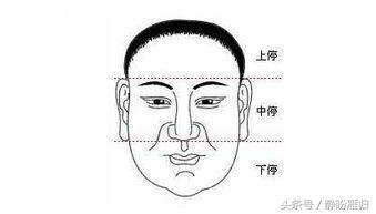 面部痣所对应身体各部位的痣，面部部位的痣所代表的含义
