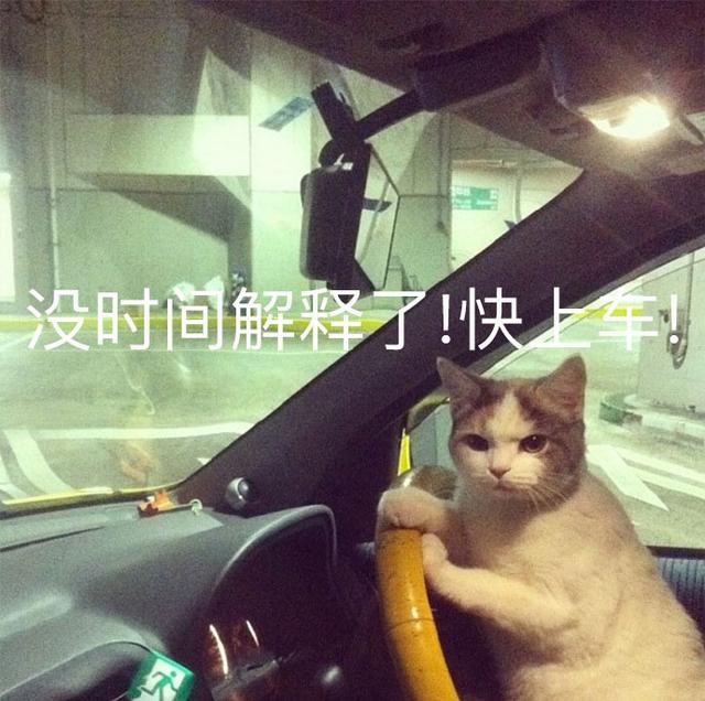 秋宫图是什么书，秋宫图什么东西（大陆竟然有一部接近九分的网综）