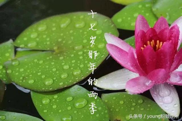 开学礼歌词是什么，开学礼歌词（开学在即，你准备好了吗）