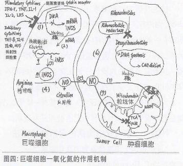 惰性气体有哪些，惰性气体有哪些上市公司（它们就在每天呼吸的空气中）