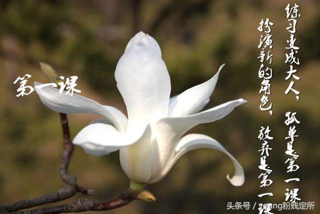 开学礼歌词是什么，开学礼歌词（开学在即，你准备好了吗）