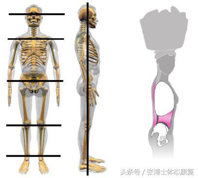 正确的站姿姿势，基本站姿注意（维持良好的身体姿态）