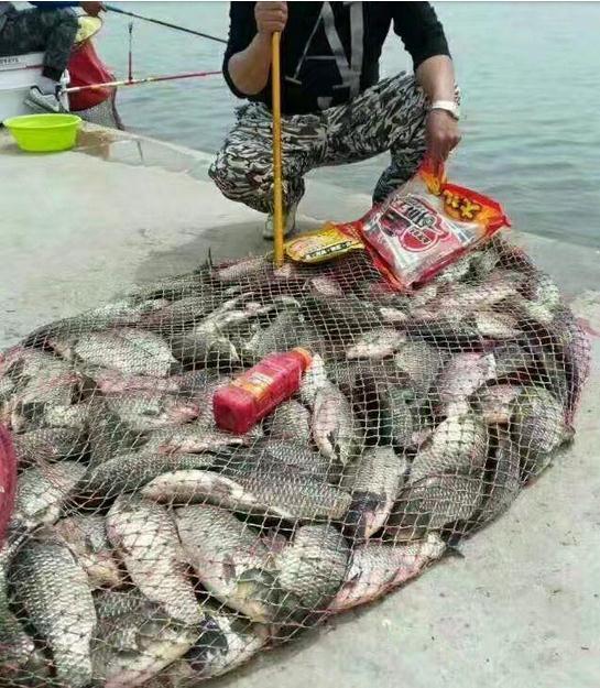 鱼竿5h6h7h是什么意思，十大品牌鱼竿排名（你竿子几H硬度,H你理解不）