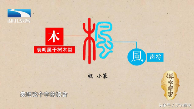 枫叶的拼音，汉字解密，枫：关于枫叶的美