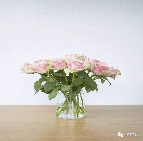 别人送的玫瑰花怎么做干花，情人节收到的玫瑰花制成干花
