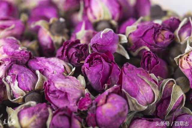 干花制作 如何制作玫瑰花干花，洋甘菊干花制作（一分钟将鲜花制作成干花）