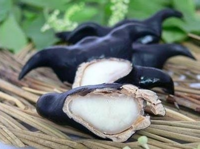 水生蔬菜有哪些，水生蔬菜有哪些生物学特性（国外农民都想引进种植）