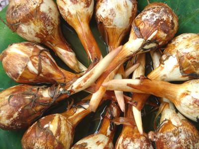 水生蔬菜有哪些，水生蔬菜有哪些生物学特性（国外农民都想引进种植）