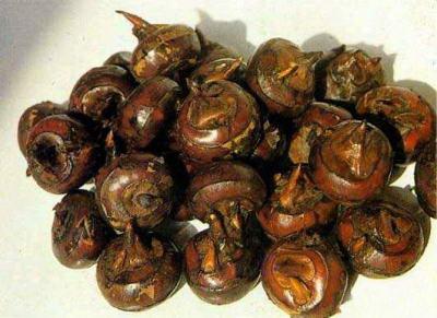 水生蔬菜有哪些，水生蔬菜有哪些生物学特性（国外农民都想引进种植）