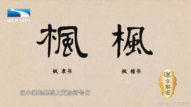 枫叶的拼音，汉字解密，枫：关于枫叶的美