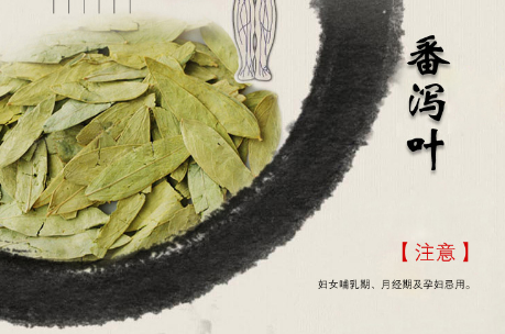 番泻叶的正确服用方法，番泻叶的正确服用时间（正说通便药番泻叶的用法）