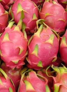 常吃火龙果5大好处,4大壮阳水果(火龙果的功效与作用) 常吃火龙果5大好处,4大壮阳水果(火龙果的功效与作用)